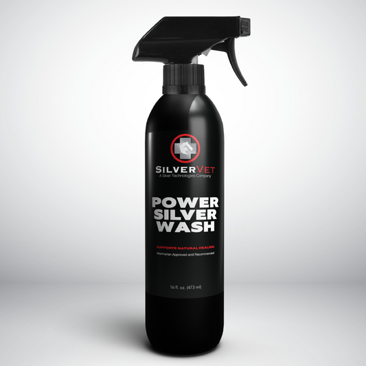 Power Silver Wash